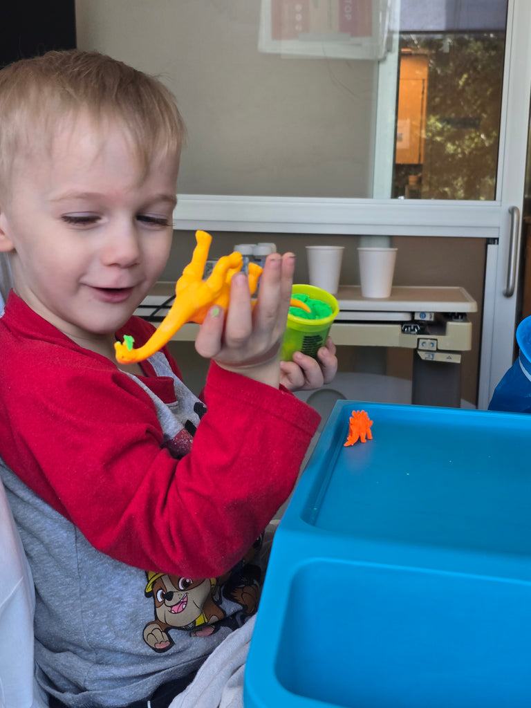 Sponsor A Brave Gown For Three-Year-Old Asher w/Two Congenital Heart Defects