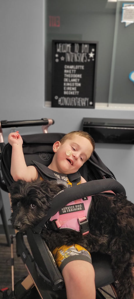 Sponsor A Brave Gown For an Sweet Boy Who Has Cerebral Palsy & is Blind