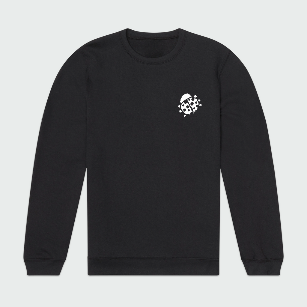 Charlie's Hand Drawn Ladybug Sweatshirt