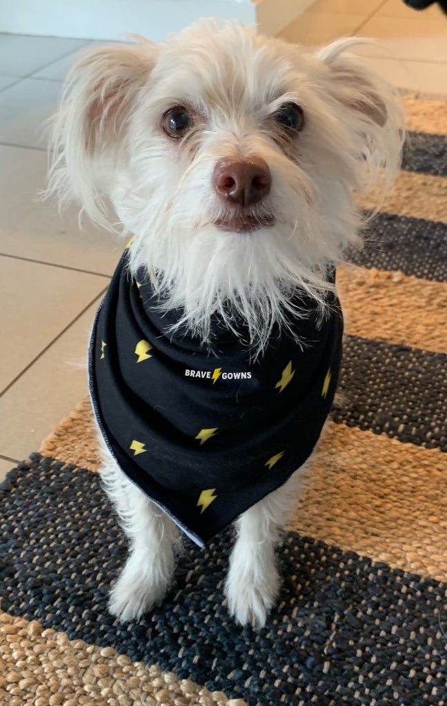 BRAVE BANDANA FOR DOGS TO SUPPORT THEIR BRAVE FRIENDS!